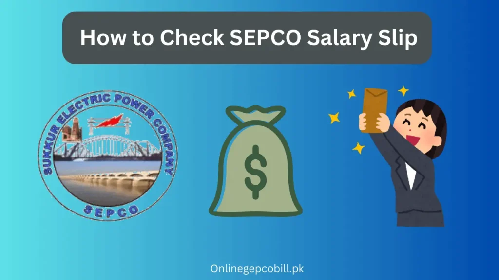 How to Check SEPCO Salary Slip 2025