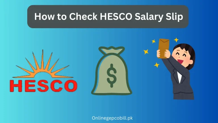 How to Check HESCO Salary Slip 2025