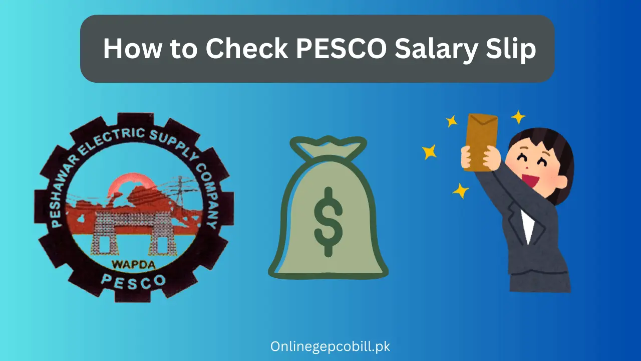 How to Check PESCO Salary Slip 2025